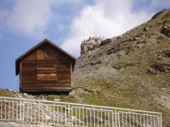 Aquile085.jpg