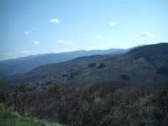 IMAG0008.JPG