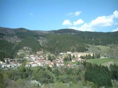 IMAG0011.JPG
