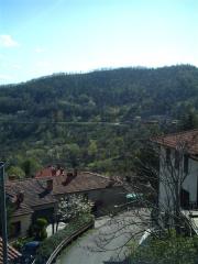 IMAG0013.JPG