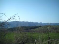 IMAG0024.JPG