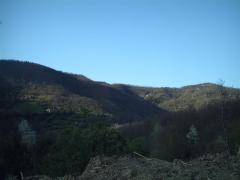 IMAG0027.JPG