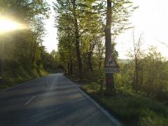 IMAG0034.JPG