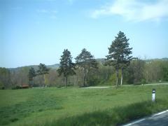 IMAG0056.JPG
