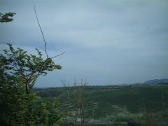 IMAG0062.JPG