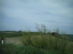 IMAG0068.JPG
