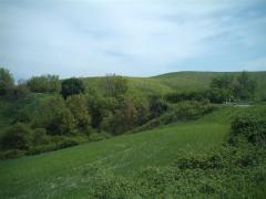 IMAG0070.JPG