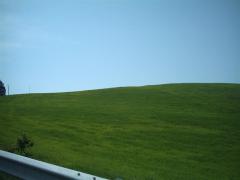 IMAG0074.JPG