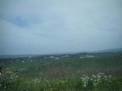IMAG0075.JPG