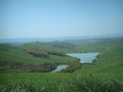 IMAG0079.JPG