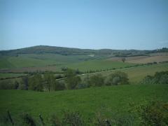 IMAG0090.JPG