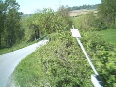 IMAG0091.JPG