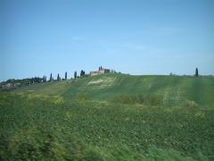 IMAG0098.JPG