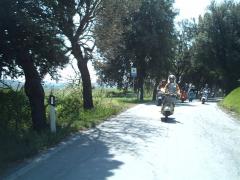 IMAG0099.JPG