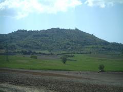 IMAG0107.JPG