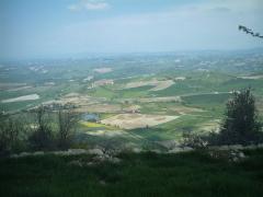 IMAG0115.JPG