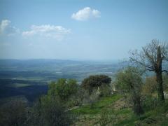 IMAG0124.JPG