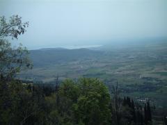 IMAG0145.JPG
