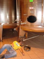 Prosecco003.jpg