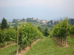 Prosecco005.jpg
