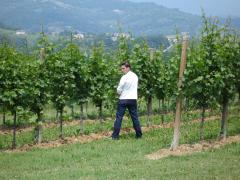 Prosecco006.jpg