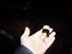100_0910.jpg