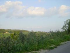 3_RaidVolTc-Turbo070.jpg