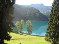 carnia2007 001 _215_.jpg