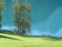 carnia2007 001 _216_.jpg