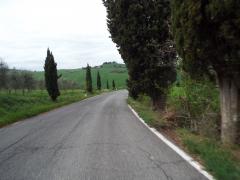 raidgranducato2016-9aprile 247.jpg