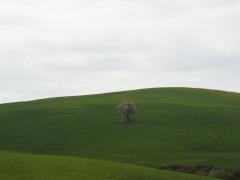 raidgranducato2016-9aprile 257.jpg