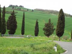 raidgranducato2016-9aprile 263.jpg