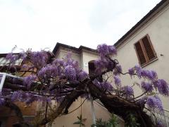 raidgranducato2016-9aprile 325.jpg
