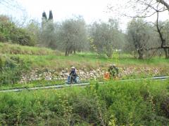 raidgranducato2016-9aprile 661.jpg