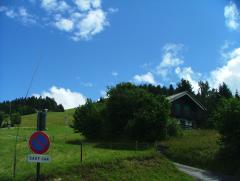 DSCF3243.JPG
