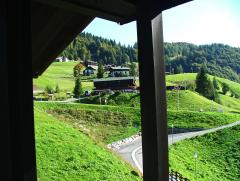 DSCF9884.JPG