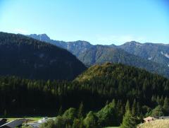 DSCF9888.JPG