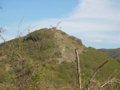DSCN0382.JPG