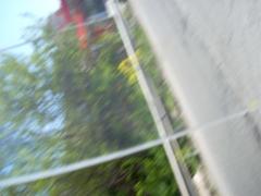 DSCN0439.JPG