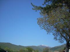 DSCN0444.JPG