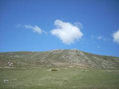 DSCN0453.JPG