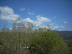 DSCN0463.JPG
