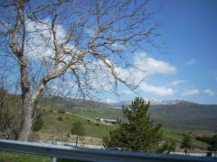 DSCN0464.JPG