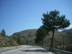 DSCN0466.JPG