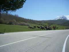 DSCN0479.JPG