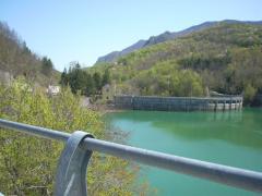 DSCN0487.JPG