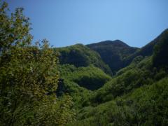 DSCN0489.JPG
