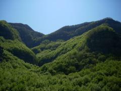 DSCN0490.JPG