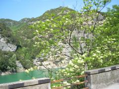 DSCN0502.JPG