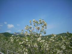 DSCN0517.JPG